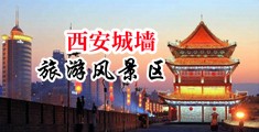 操逼吃鸡巴免费看的三级片中国陕西-西安城墙旅游风景区